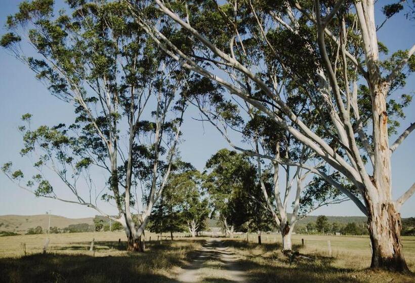 فندق Clarrie S Green