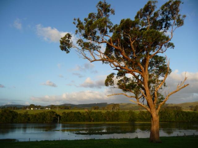 فندق Clarrie S Green