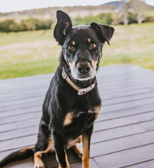 فندق Clarrie S Green