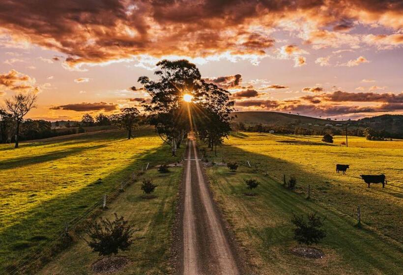 فندق Clarrie S Green