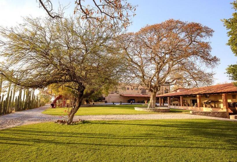 هتل Hacienda Maria Eugenio