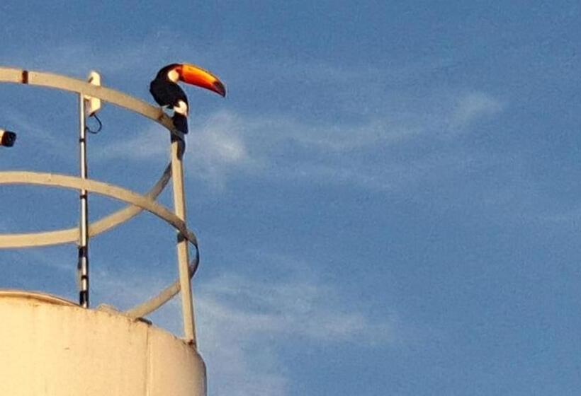 ホテル Pousada São Pedro Matão