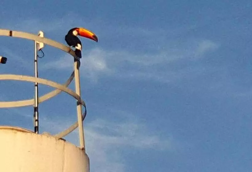 ホテル Pousada São Pedro Matão