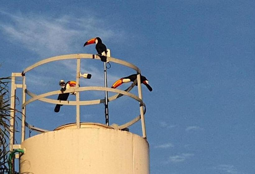 호텔 Pousada São Pedro Matão