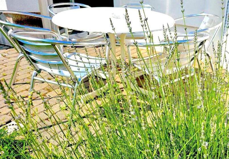 Пансион Dreamly Suites