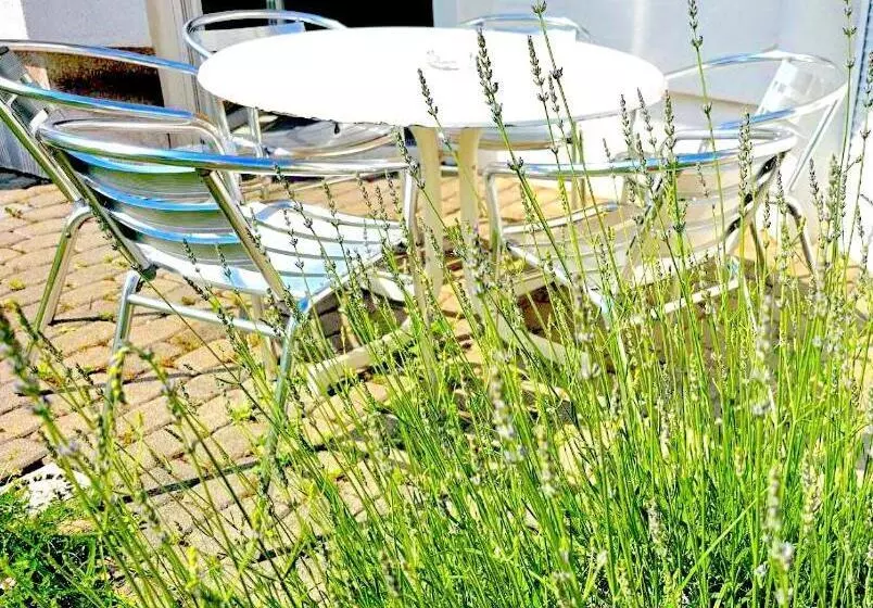 Majatalo Dreamly Suites