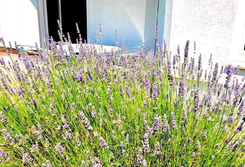 Пансион Dreamly Suites