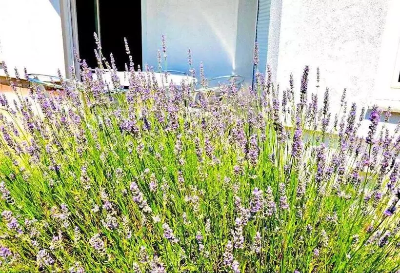 Majatalo Dreamly Suites