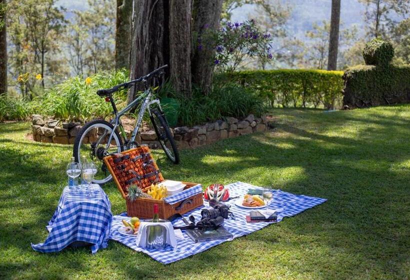 Resort Ceylon Tea Trails Relais And Chateaux