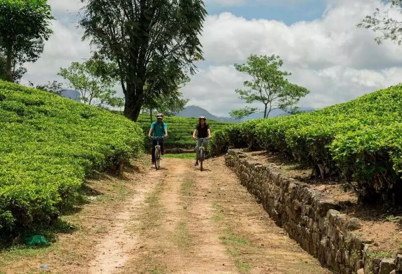 リゾートホテル Ceylon Tea Trails   Relais And Chateaux
