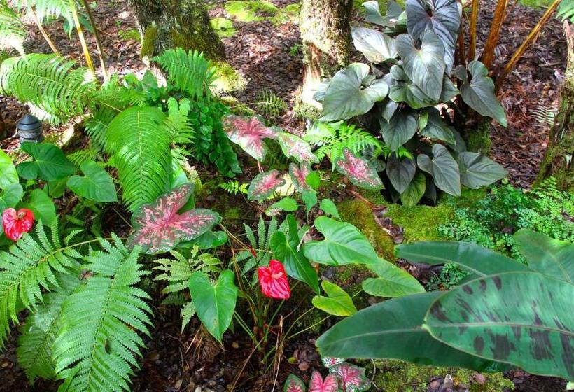 住宿加早餐  At The Craters Edge