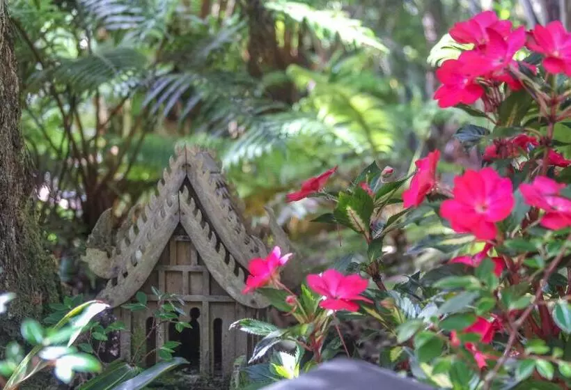 Bed & Breakfast At The Craters Edge