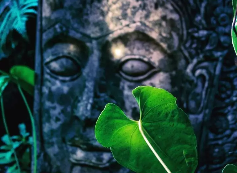 Bed & Breakfast At The Craters Edge