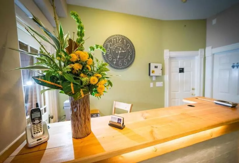 مبيت وإفطار Cloudside