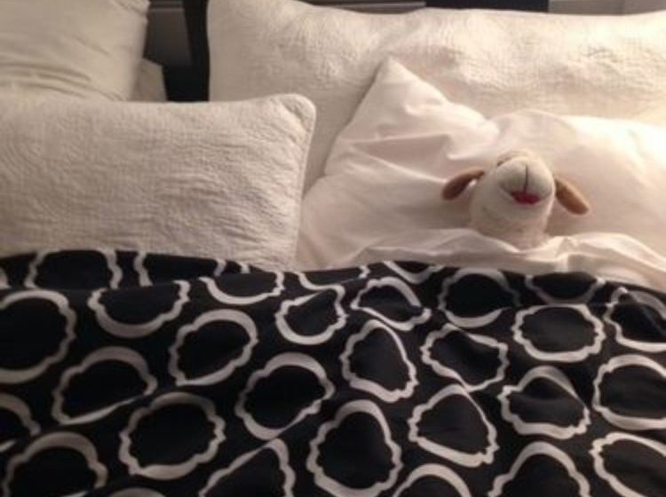 ベッドアンドブレックファースト Fanny's