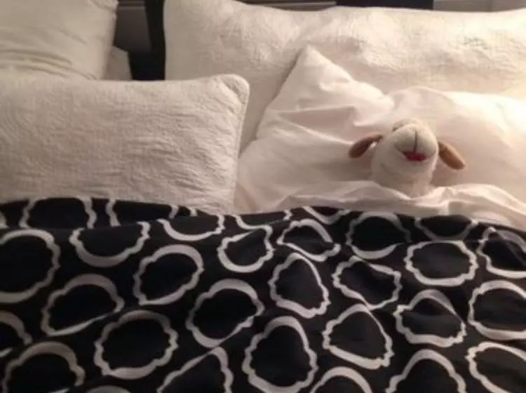 住宿加早餐  Fanny's