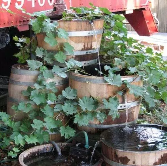 Featherbed Railroad B&b Resort