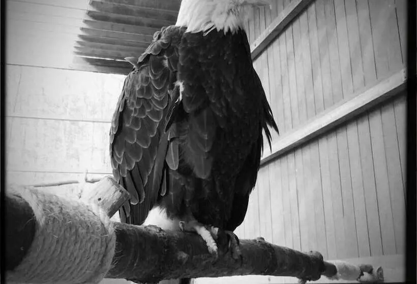 住宿加早餐 Inn At Clearwater Pond