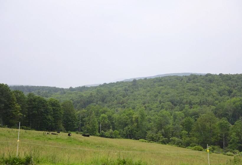 住宿加早餐  Inn At Clearwater Pond