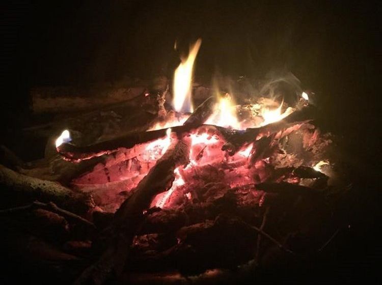 مبيت وإفطار Roseledge Country Inn & Farm Shoppe