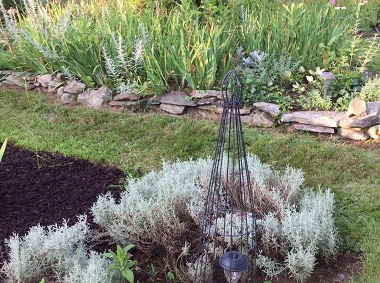 مبيت وإفطار Roseledge Country Inn & Farm Shoppe