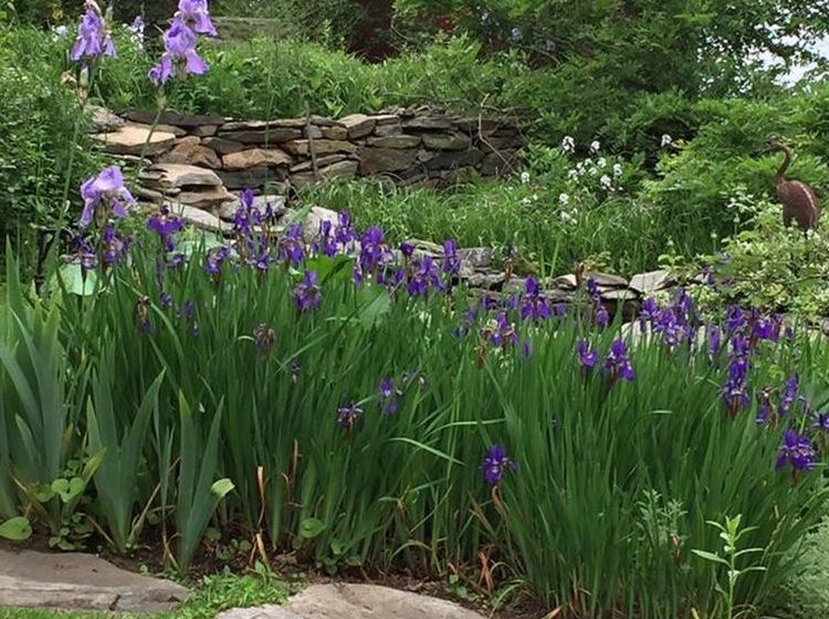 مبيت وإفطار Roseledge Country Inn & Farm Shoppe