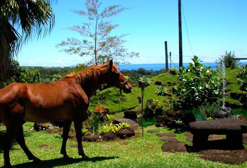 فندق Hilltop Legacy Vacation Home