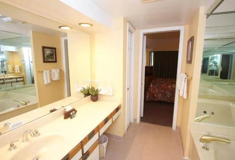 ホテル Laurel Point Resort