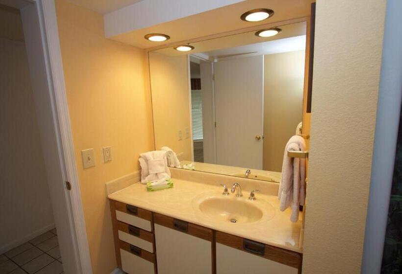 فندق Laurel Point Resort