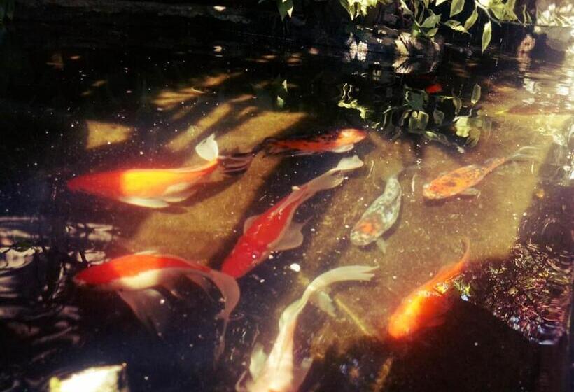 فندق Pondok Ayu Homestay