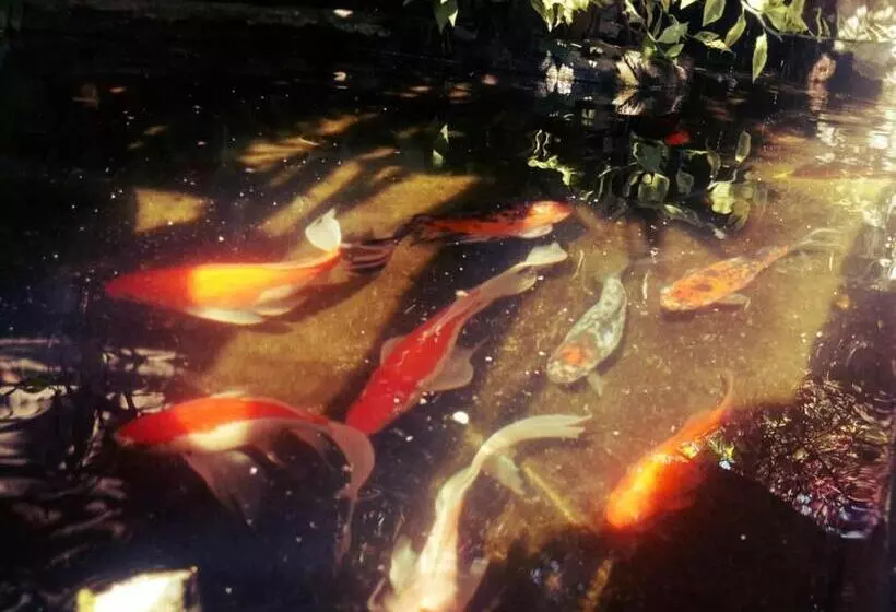 فندق Pondok Ayu Homestay