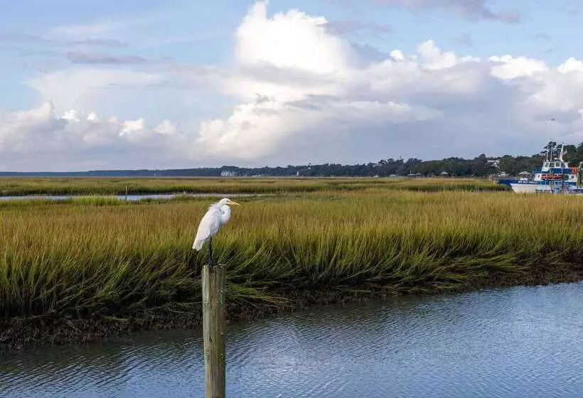 בית מלון כפרי Sandpebble Beach Club