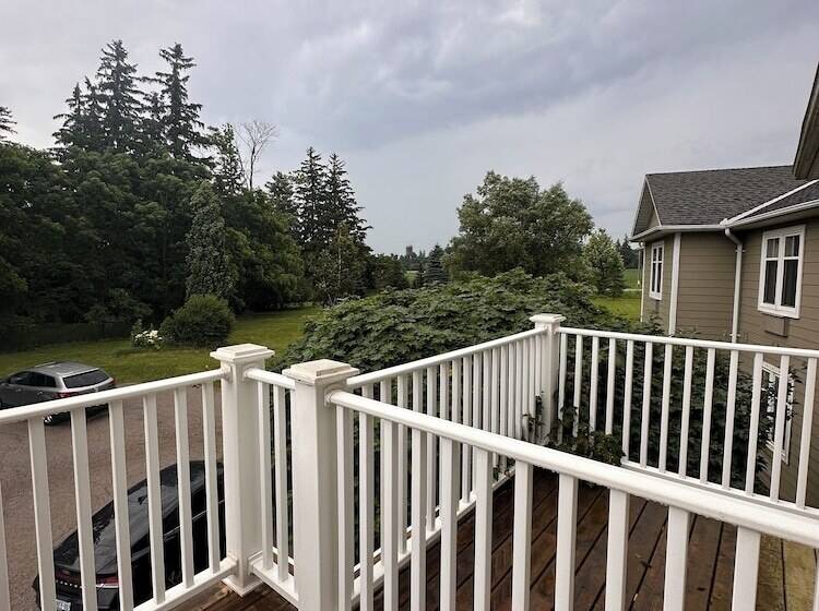 בית מלון כפרי Stone Willow Inn