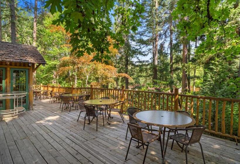 בית מלון כפרי Weasku Inn