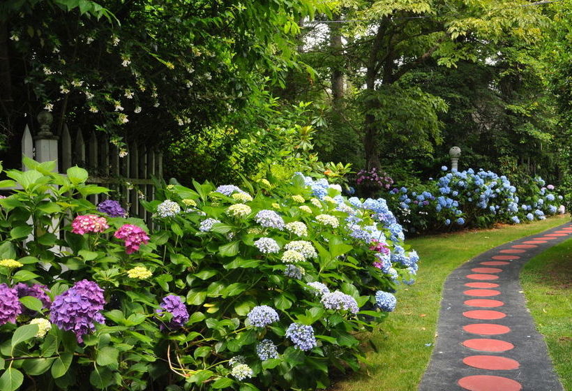 Melange Bed And Breakfast