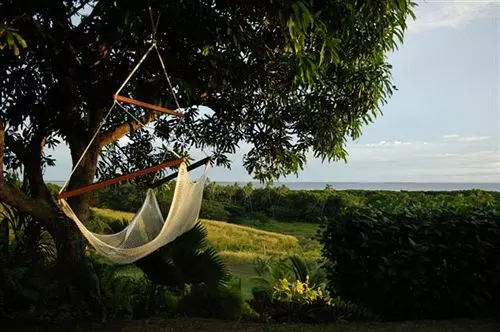 Palmlea Farms Lodge And Bures Villas