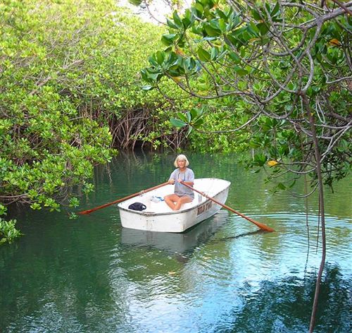 Palmlea Farms Lodge And Bures Villas