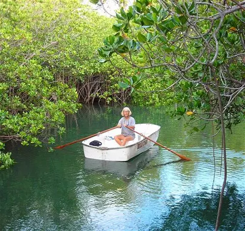 Palmlea Farms Lodge And Bures Villas