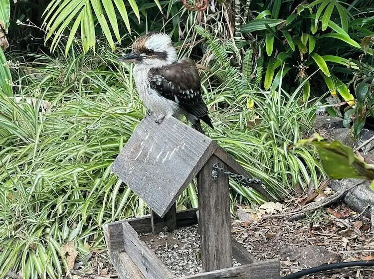 ペンション Oasis Inn Ulladulla