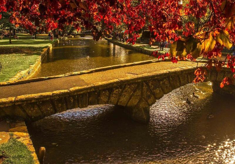 膳宿费 The Lansdowne