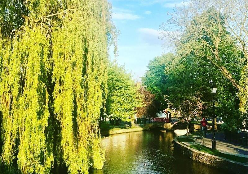 膳宿费 The Lansdowne