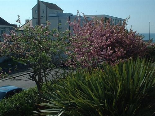 بنسيون The Swan Guest House