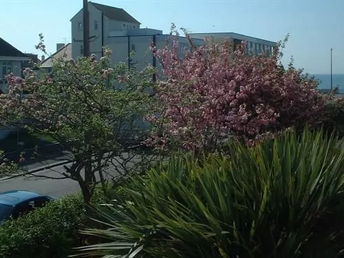 Pansiyon The Swan Guest House