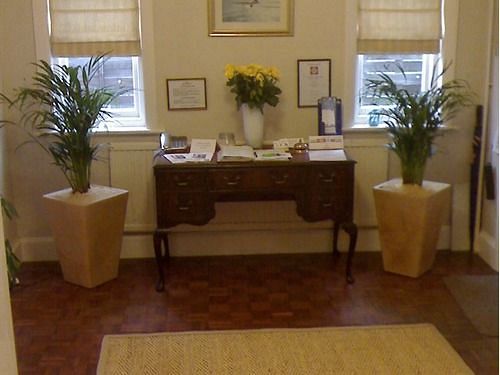 بنسيون The Swan Guest House