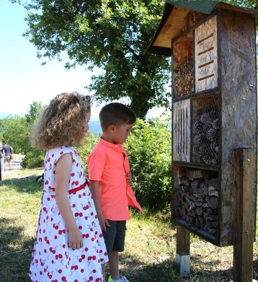 Tenuta Di Forte Sorgnano