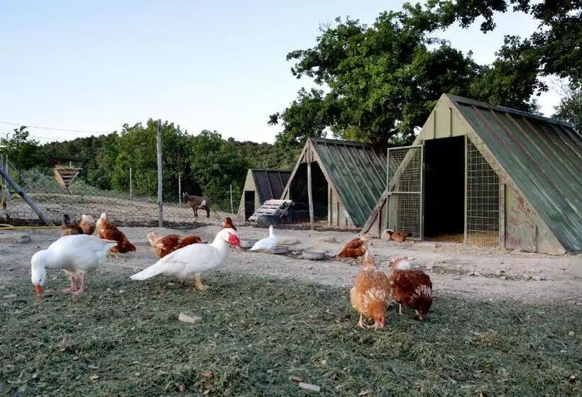 Tenuta Di Forte Sorgnano