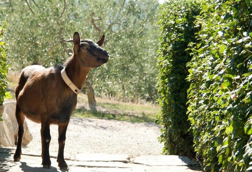 Tenuta Di Forte Sorgnano