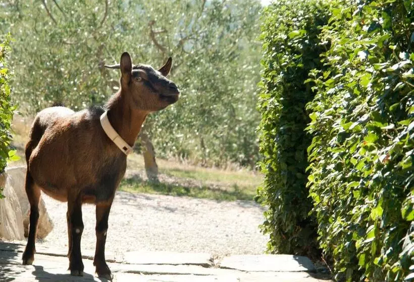 Tenuta Di Forte Sorgnano