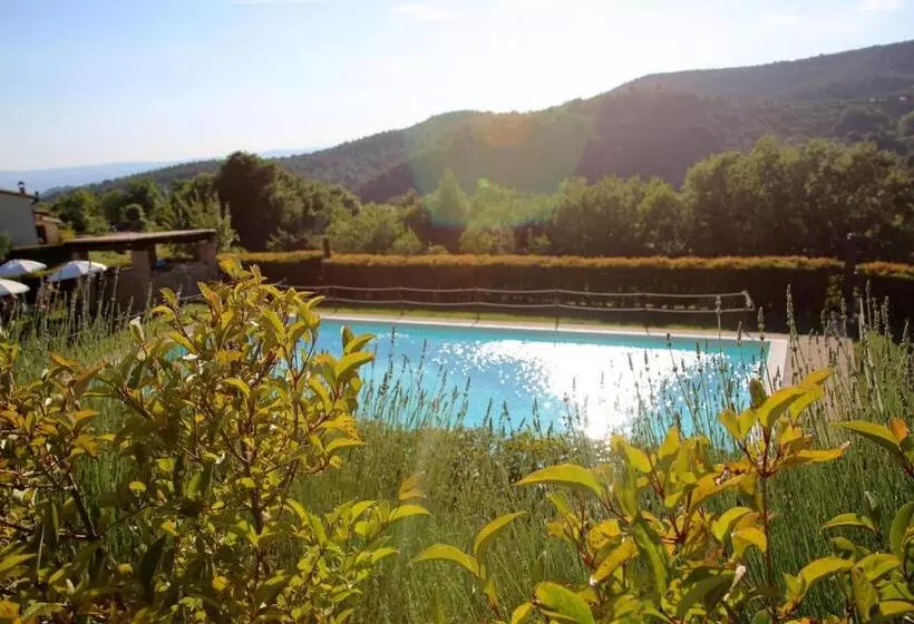 Tenuta Di Forte Sorgnano