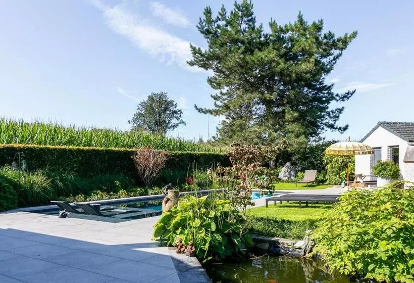 Aamiaismajoitus (B&B) Ikigai